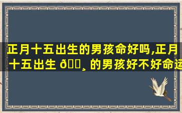正月十五出生的男孩命好吗,正月十五出生 🕸 的男孩好不好命运如何
